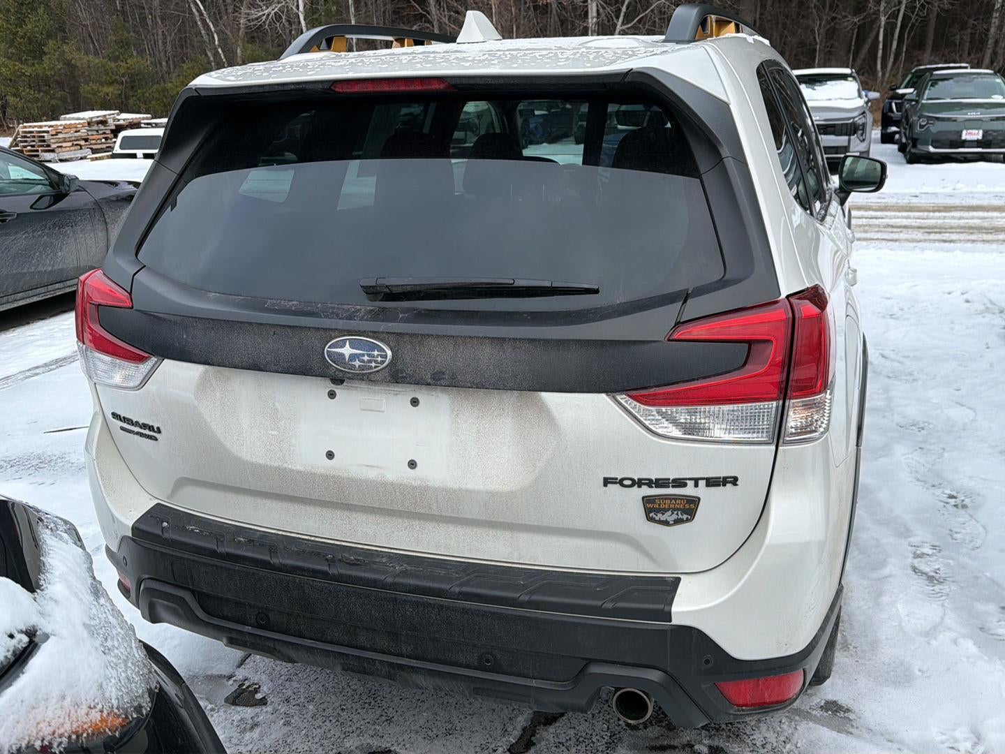 2023 Subaru Forester Wilderness