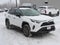 2025 Toyota RAV4 Hybrid Woodland Edition