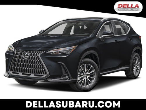 2024 Lexus NX NX 350h