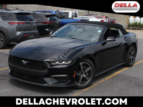 2025 Ford Mustang EcoBoost
